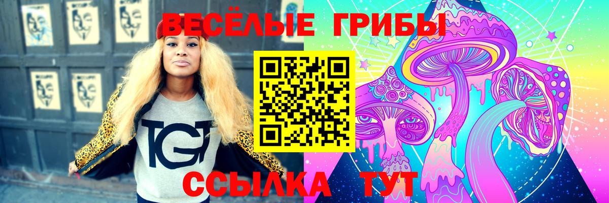 Псилоцибиновые грибы Cubensis Барнаул